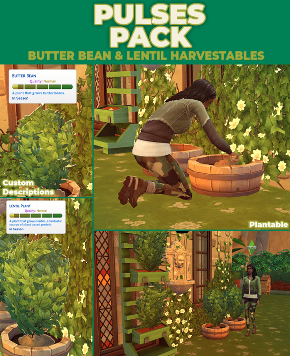 Pulses Pack Lentils Butter Beans Harvestables