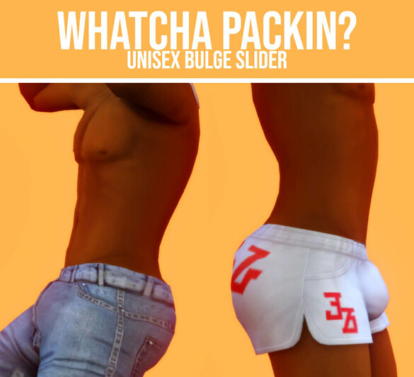 Whatcha Packin Bulge Slider By Hi Land Male Slider The Sims Game