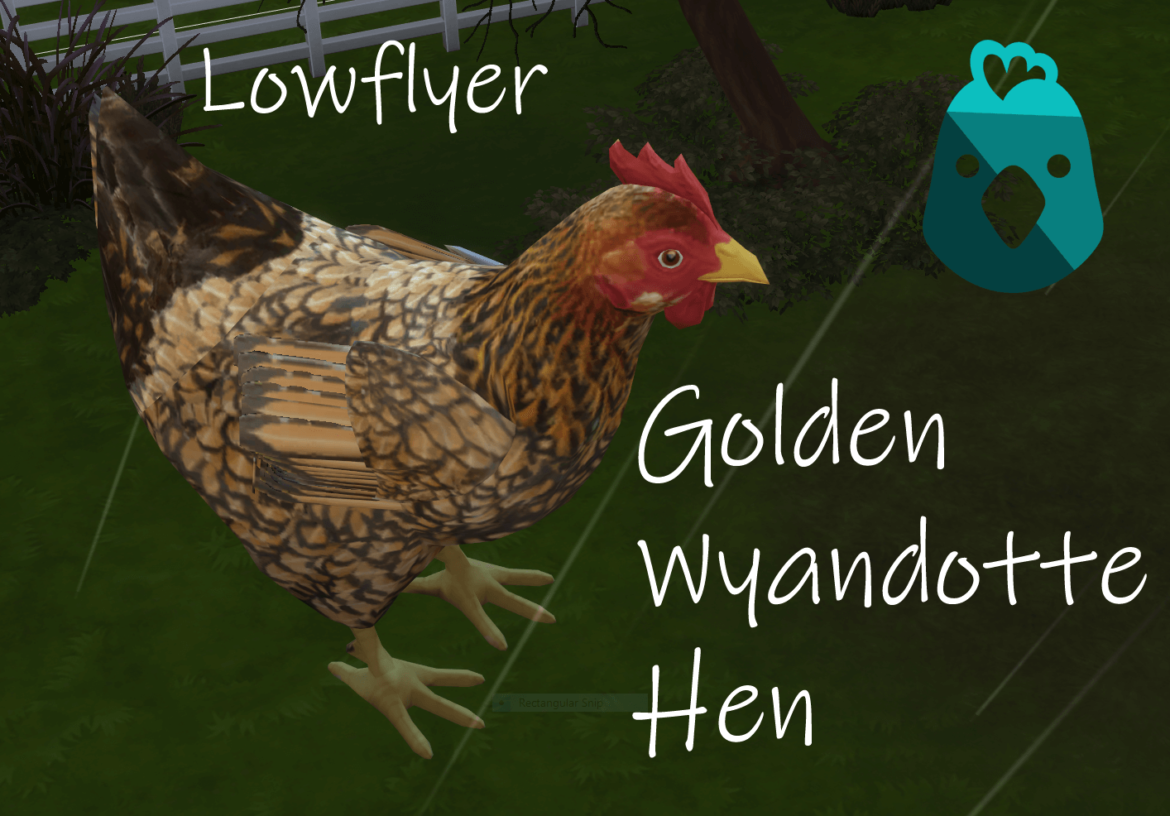 Sims 4 Golden Wyandotte Hen