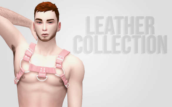 Sims 4 3 models of harness