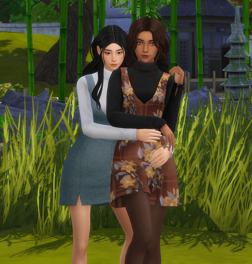 Sims 4 dream home decorator recolor