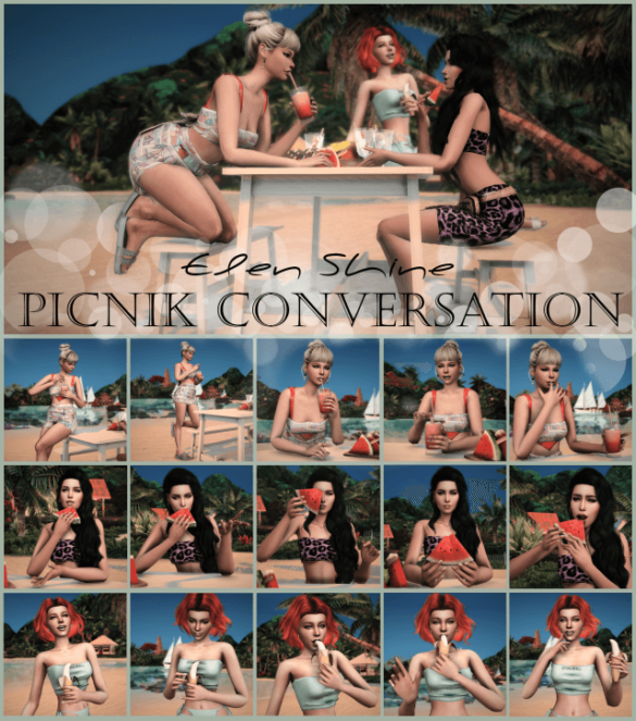 Sims 4 es picnik conversation