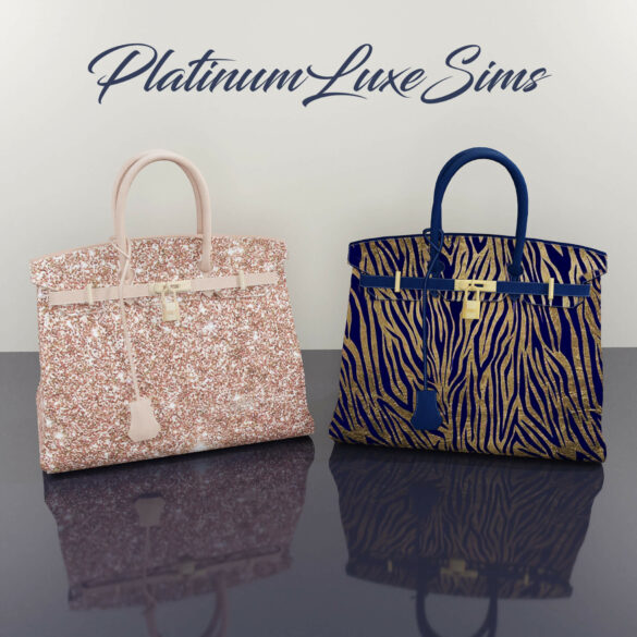 Sims 4 follower gift bag