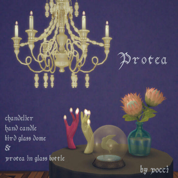 The Sims 4 random set protea for sims4 by pocci