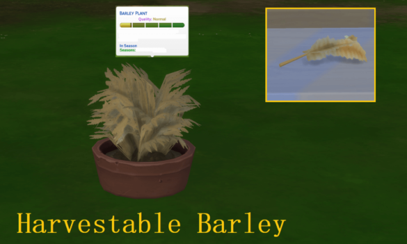 The Sims 4 Barley (Harvestable)