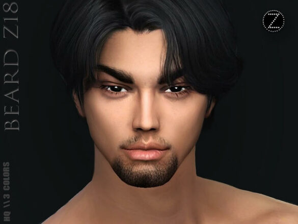 The Sims 4 BEARD Z18 by ZENX