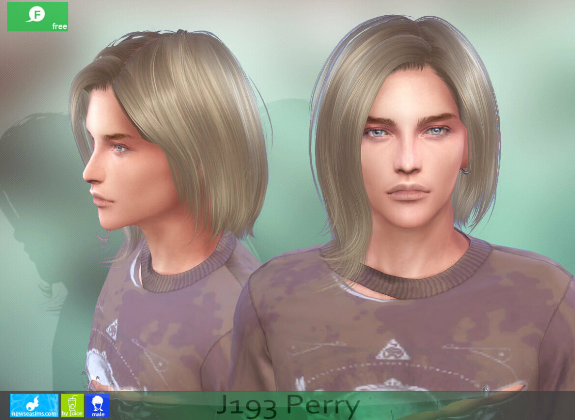 The Sims 4 Perry Hairstyle(male) at Newsea Sims 4
