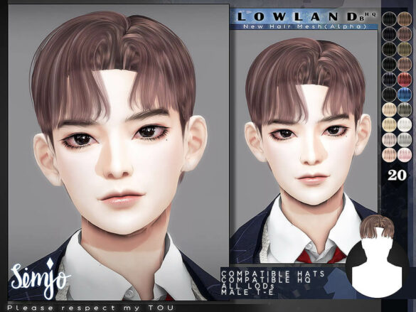 The Sims 4 Male Hair Lowland by KIMSimjo