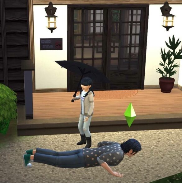 The Sims 4 No Push-ups or Sit-ups Mod