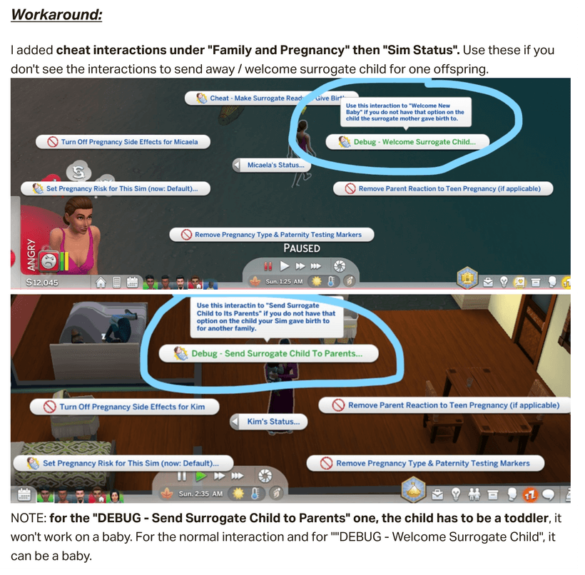 WooHoo Wellness & Pregnancy Overhaul