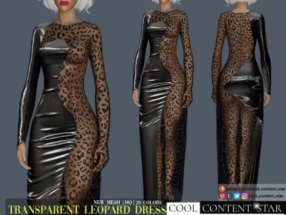 Transparent Side Leopard Dress