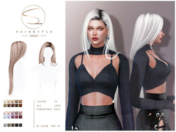 Long straight hairstyle(Ana 020223)
