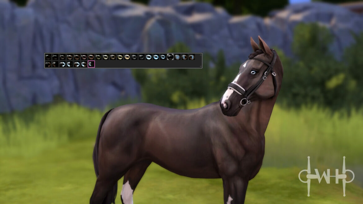 Realistic Horse Eyes