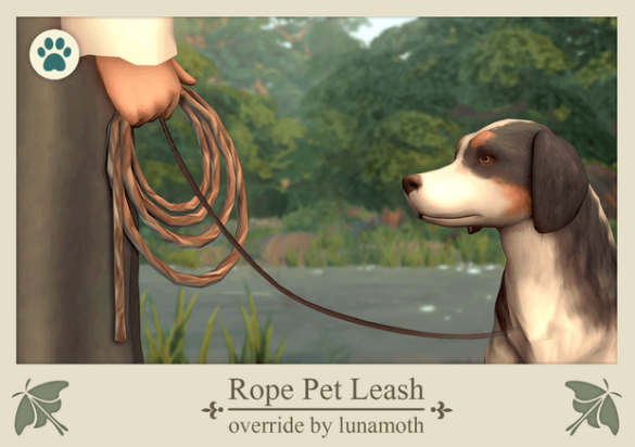 Pet Leash Override