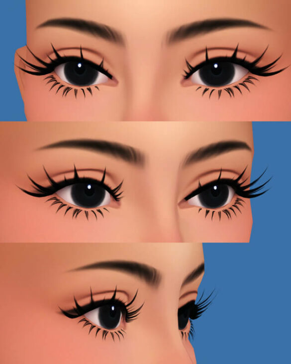 3D EYELASHES THAT